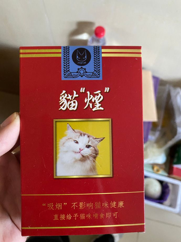 猫图片|宠物猫|猫咪|