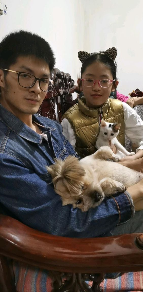 猫图片|宠物猫|猫咪|