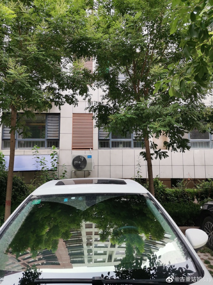 猫图片|宠物猫|猫咪|