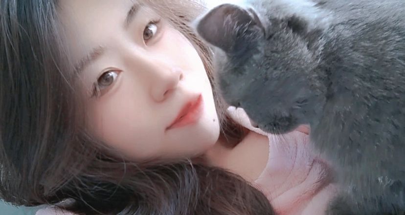 猫图片|宠物猫|猫咪|