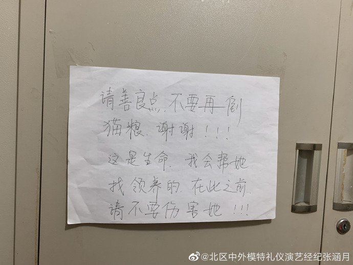 猫图片|宠物猫|猫咪|