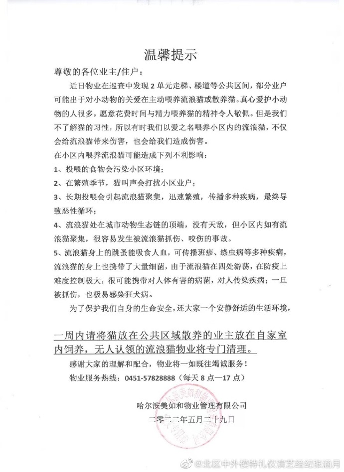 猫图片|宠物猫|猫咪|