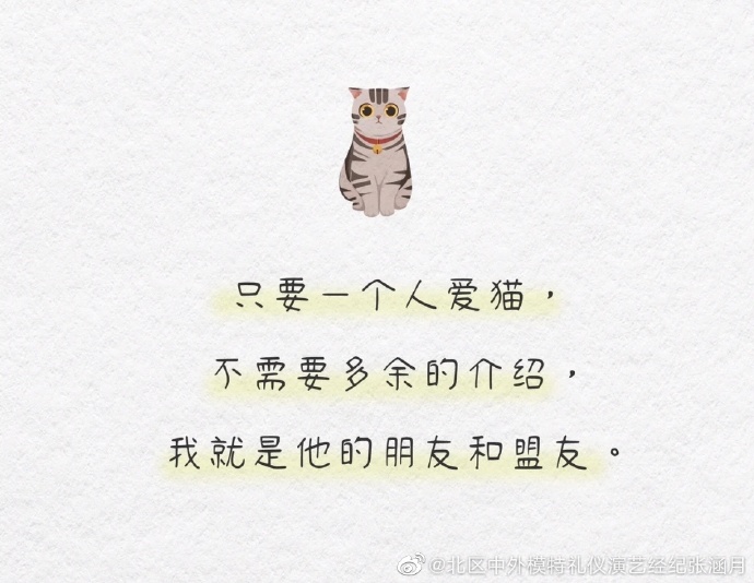 猫图片|宠物猫|猫咪|