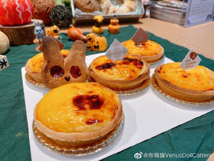 猫图片|宠物猫|猫咪|