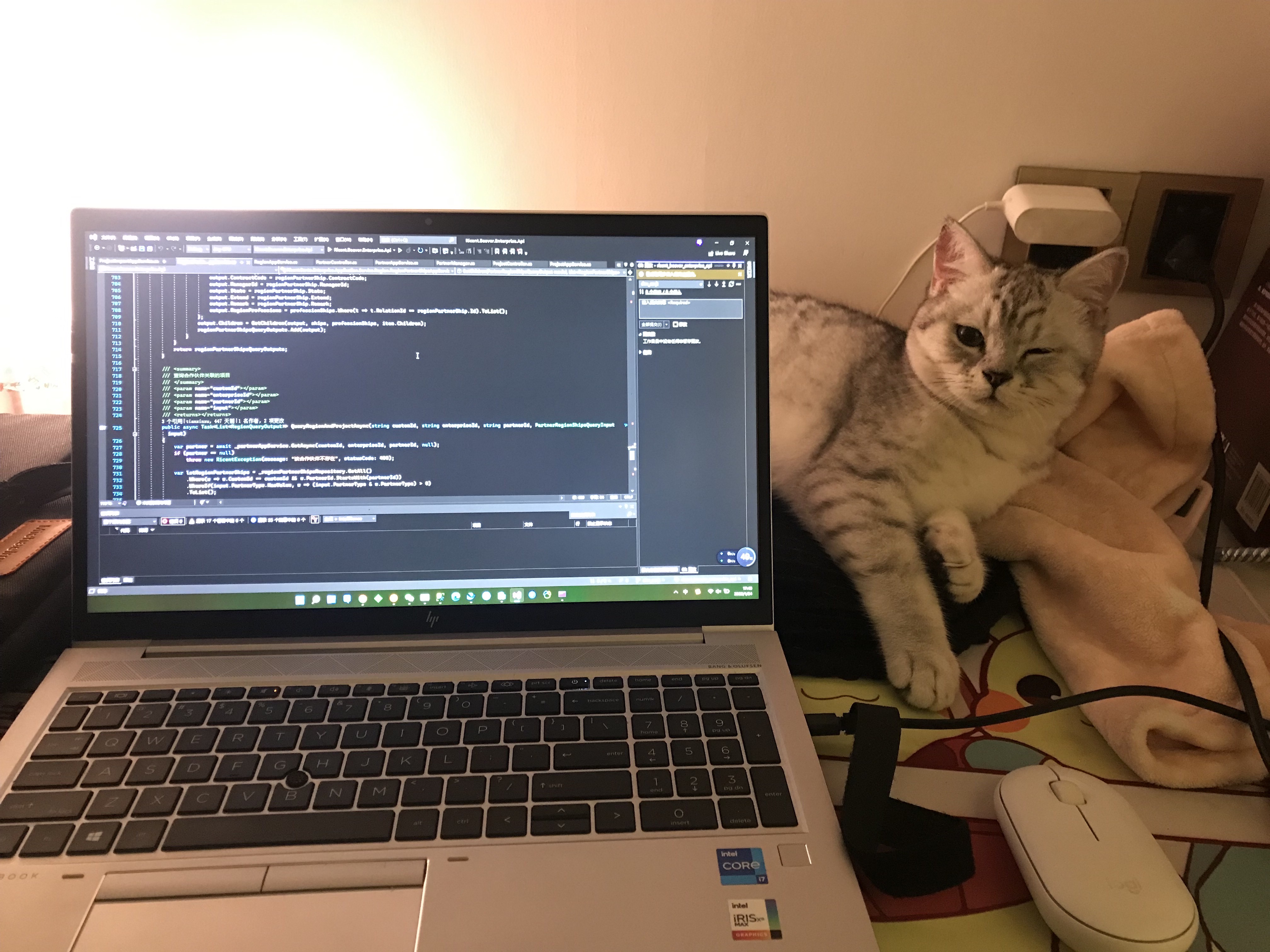 猫图片|宠物猫|猫咪|