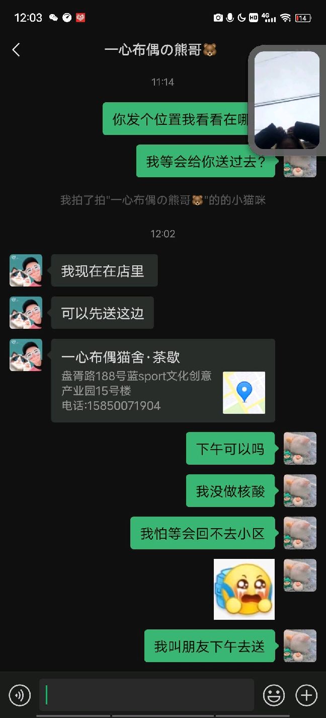 猫图片|宠物猫|猫咪|