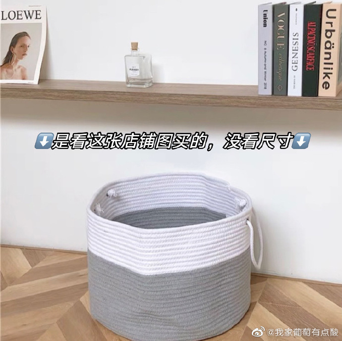 猫图片|宠物猫|猫咪|