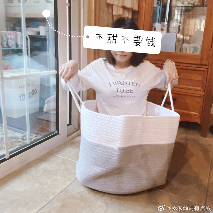 猫图片|宠物猫|猫咪|