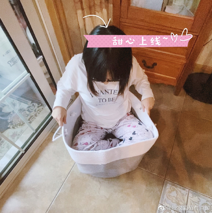 猫图片|宠物猫|猫咪|