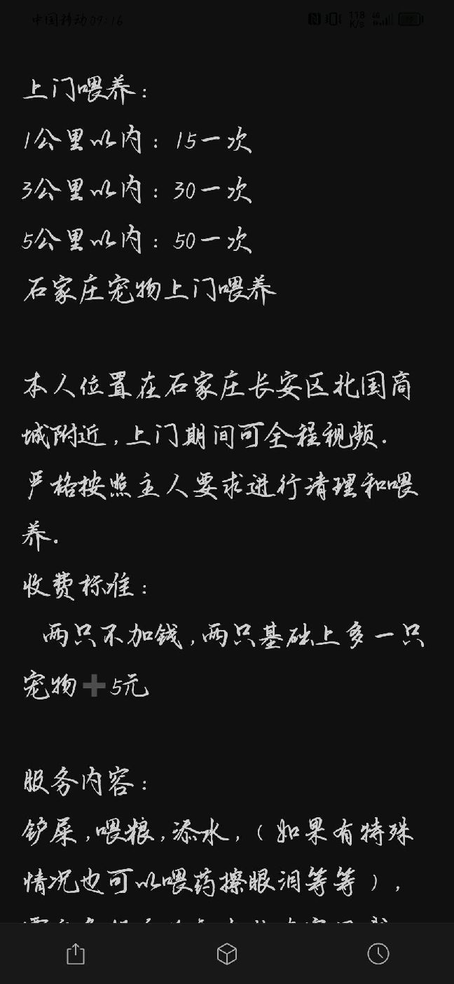 猫图片|宠物猫|猫咪|