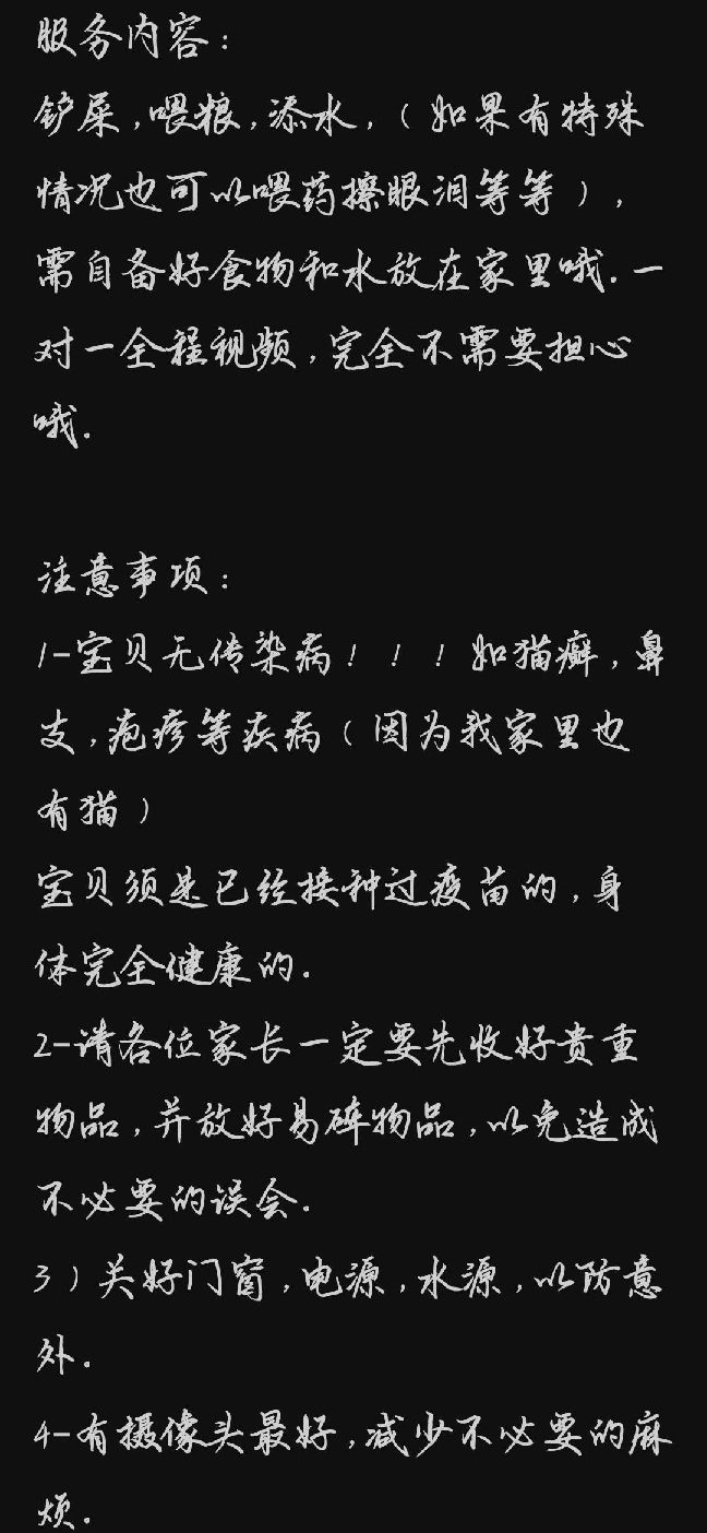 猫图片|宠物猫|猫咪|