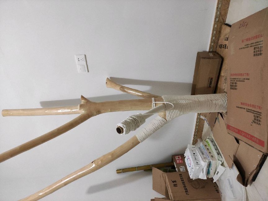 猫图片|宠物猫|猫咪|