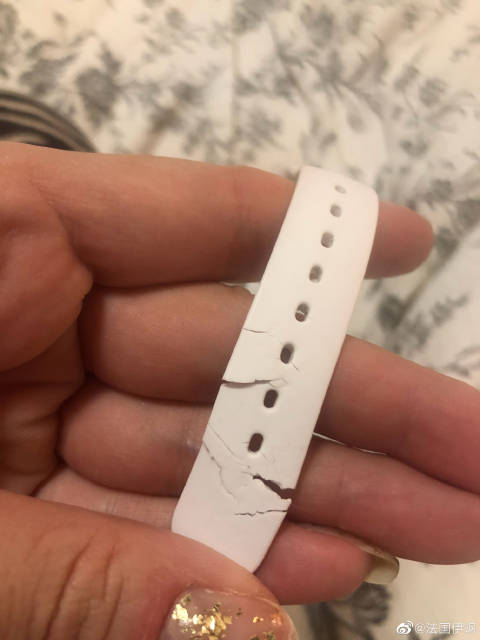 猫图片|宠物猫|猫咪|