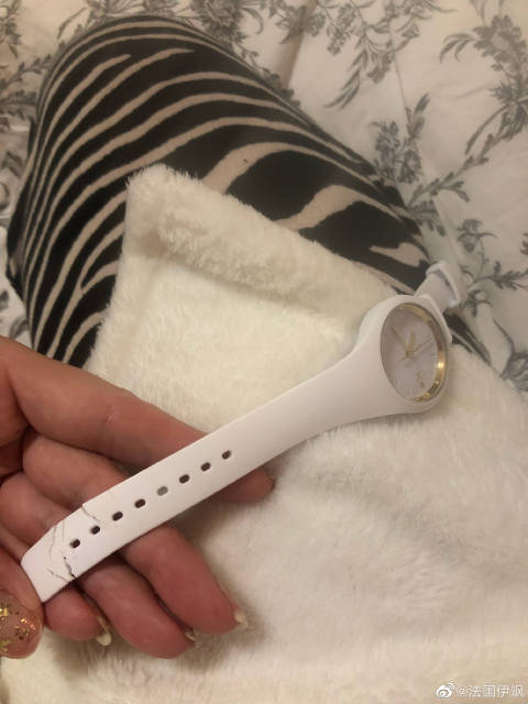 猫图片|宠物猫|猫咪|