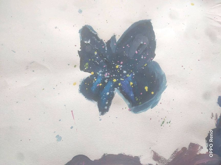 猫图片|宠物猫|猫咪|