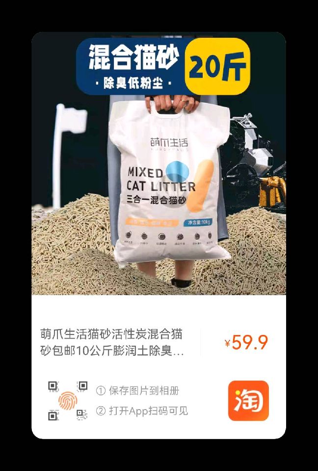 猫图片|宠物猫|猫咪|