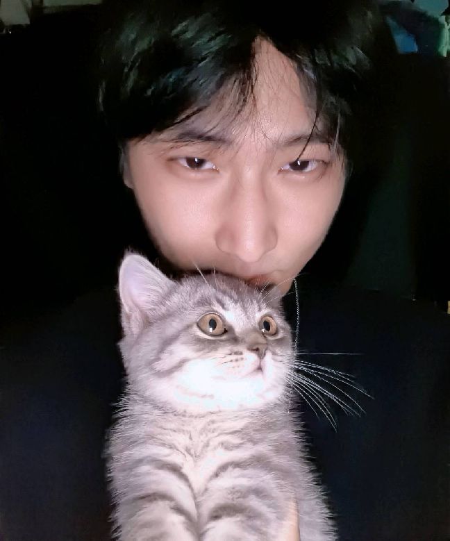 猫图片|宠物猫|猫咪|