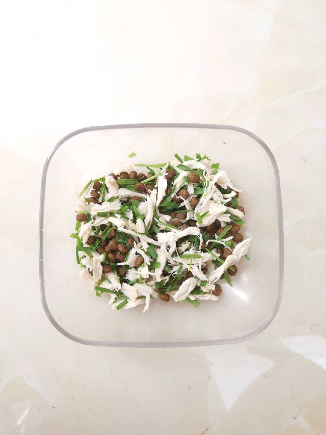 猫图片|宠物猫|猫咪|