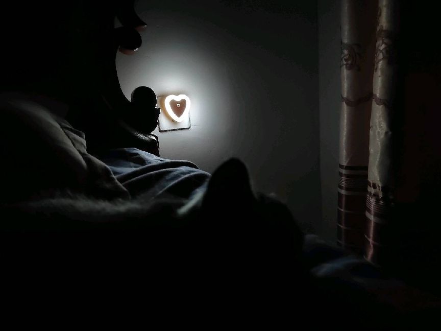 猫图片|宠物猫|猫咪|