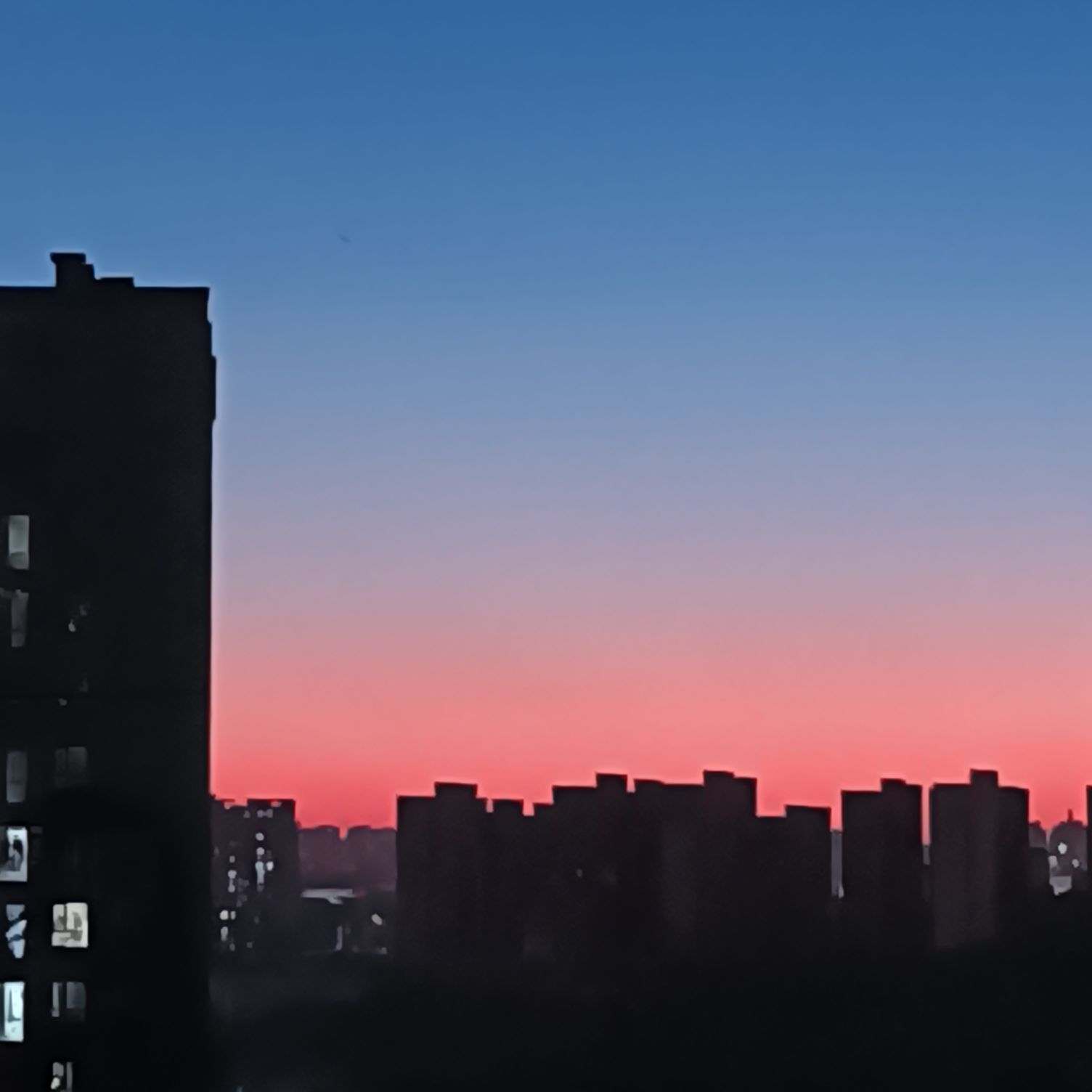 猫图片|宠物猫|猫咪|