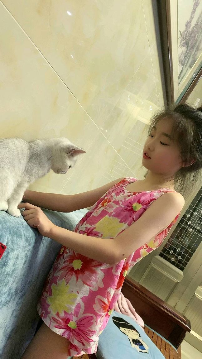 猫图片|宠物猫|猫咪|