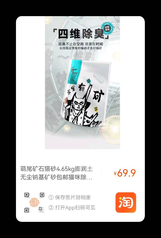 猫图片|宠物猫|猫咪|