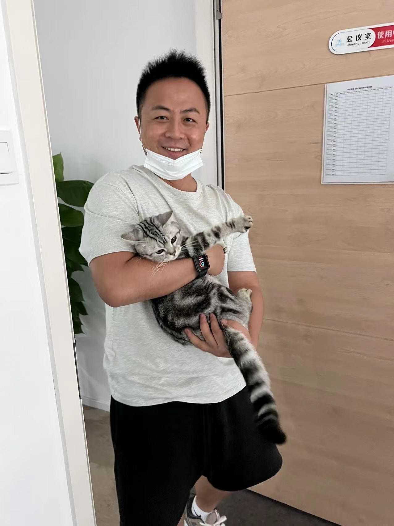 猫图片|宠物猫|猫咪|