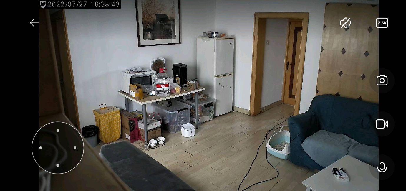 猫图片|宠物猫|猫咪|