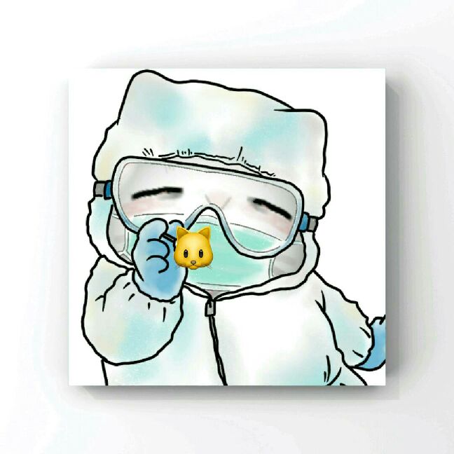 猫图片|宠物猫|猫咪|