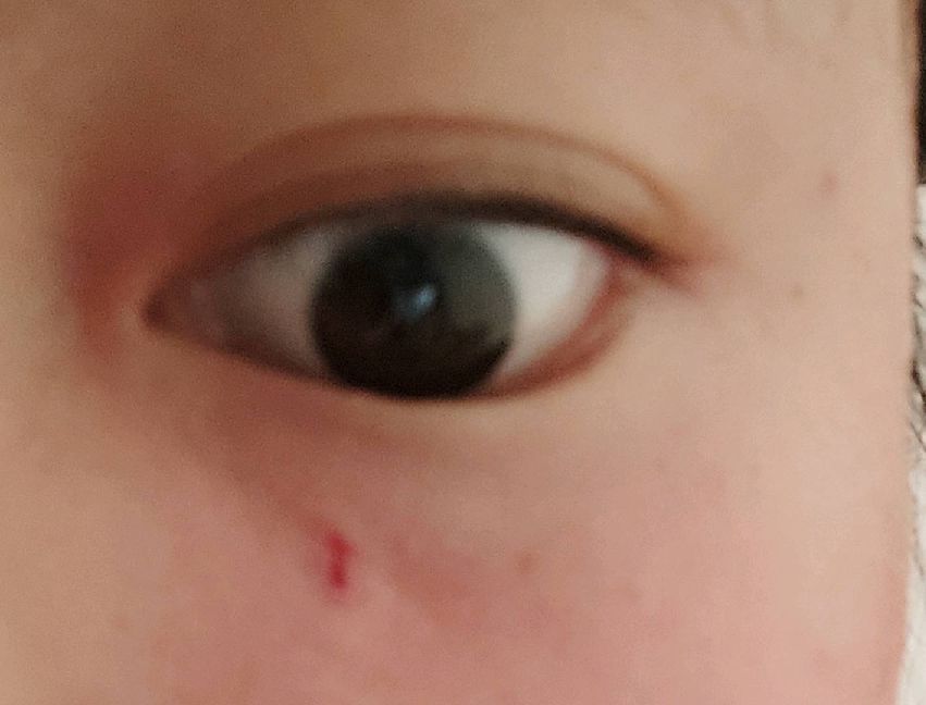 猫图片|宠物猫|猫咪|