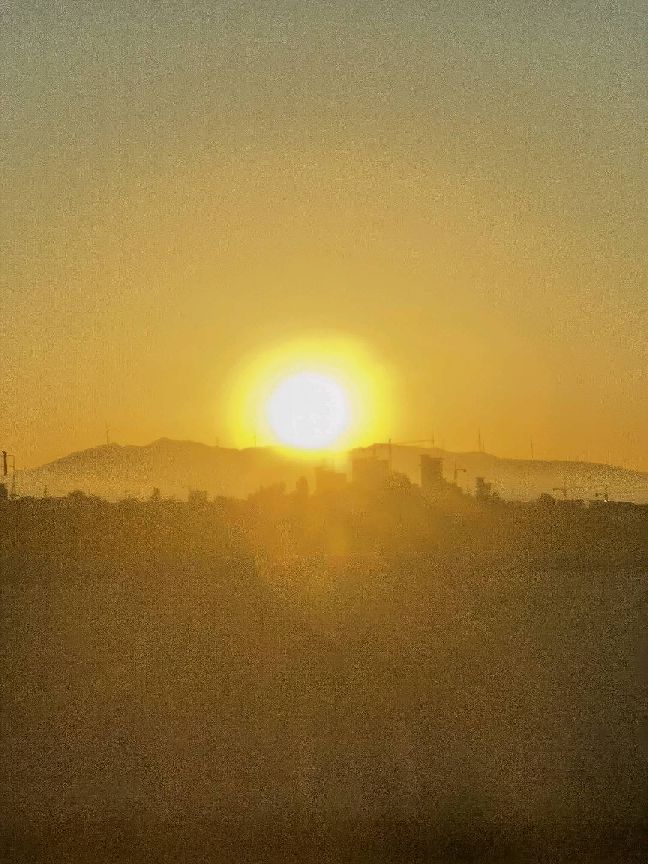 猫图片|宠物猫|猫咪|