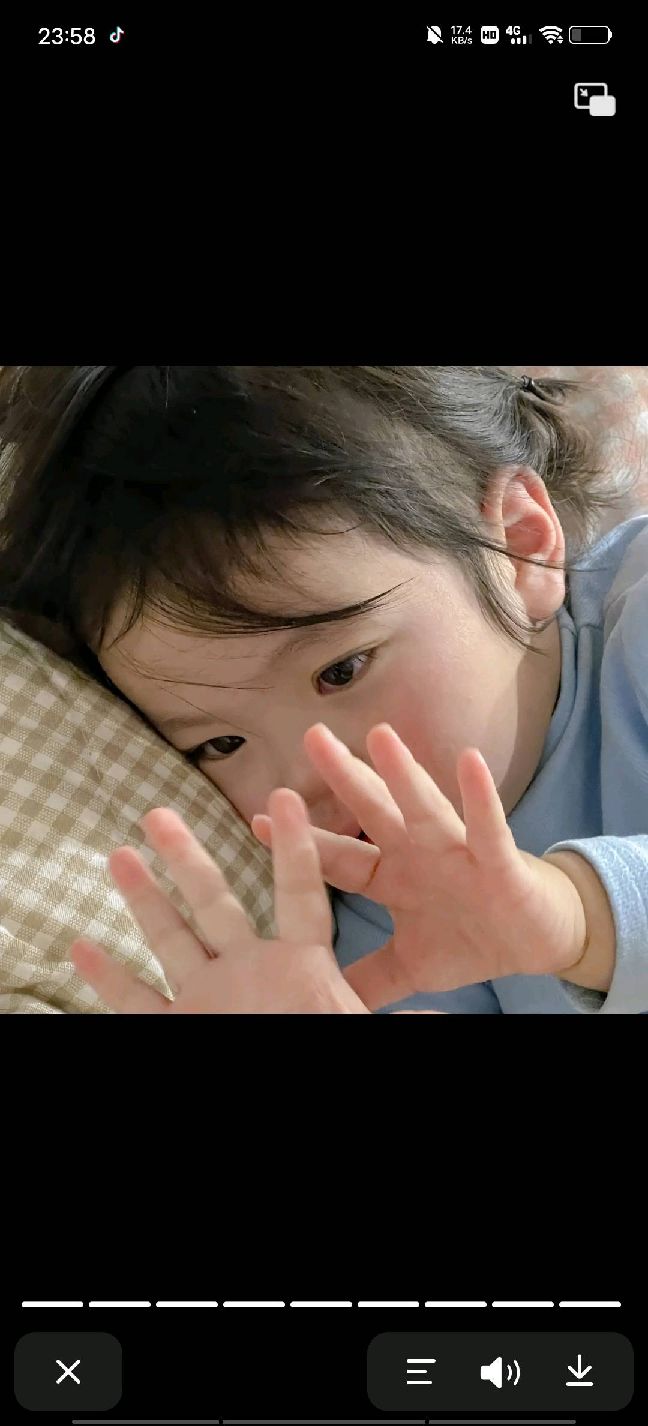 猫图片|宠物猫|猫咪|