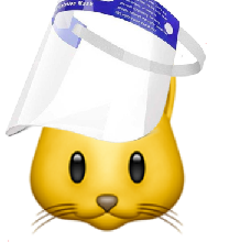 猫图片|宠物猫|猫咪|