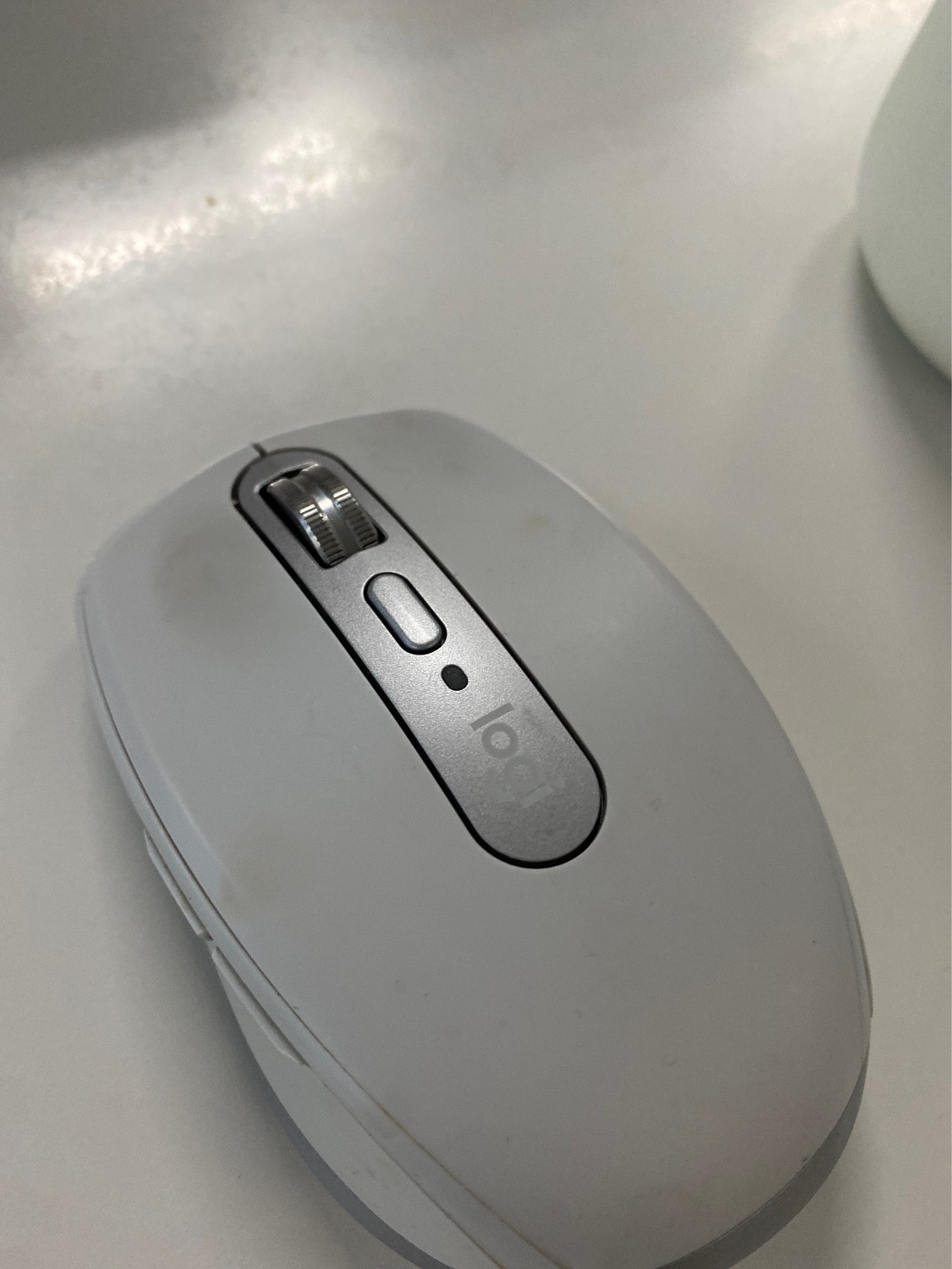 猫图片|宠物猫|猫咪|