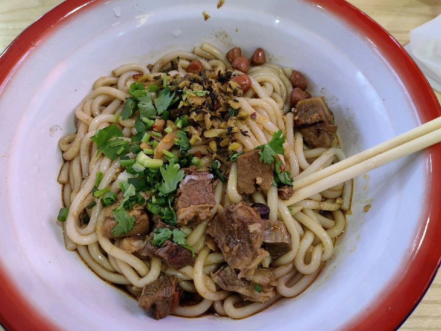 猫图片|宠物猫|猫咪|