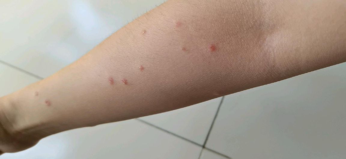 猫图片|宠物猫|猫咪|