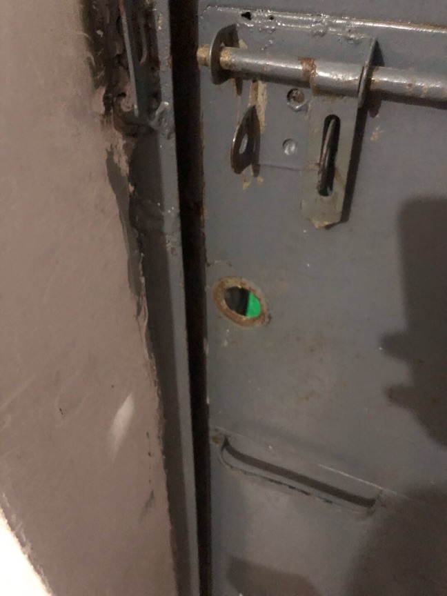 猫图片|宠物猫|猫咪|