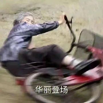 猫图片|宠物猫|猫咪|