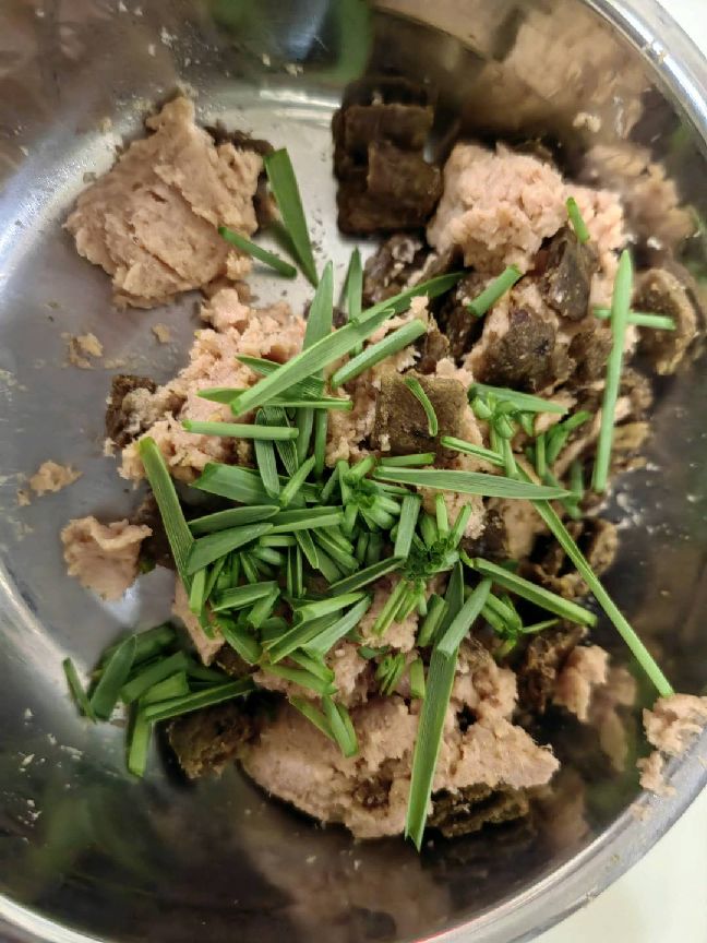 猫图片|宠物猫|猫咪|