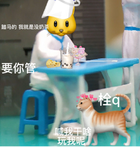 猫图片|宠物猫|猫咪|