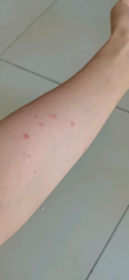 猫图片|宠物猫|猫咪|