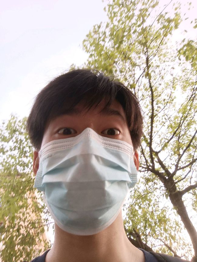 猫图片|宠物猫|猫咪|