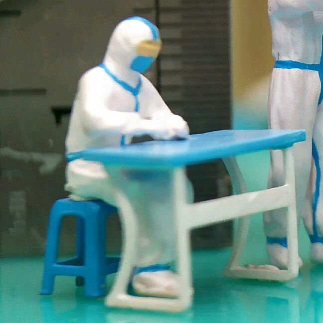 猫图片|宠物猫|猫咪|