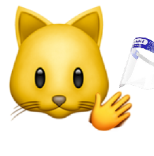 猫图片|宠物猫|猫咪|