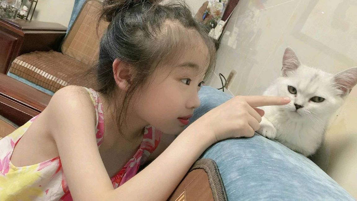 猫图片|宠物猫|猫咪|