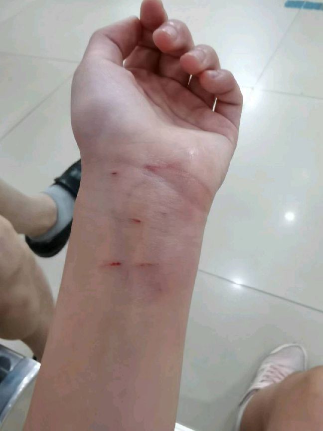 猫图片|宠物猫|猫咪|