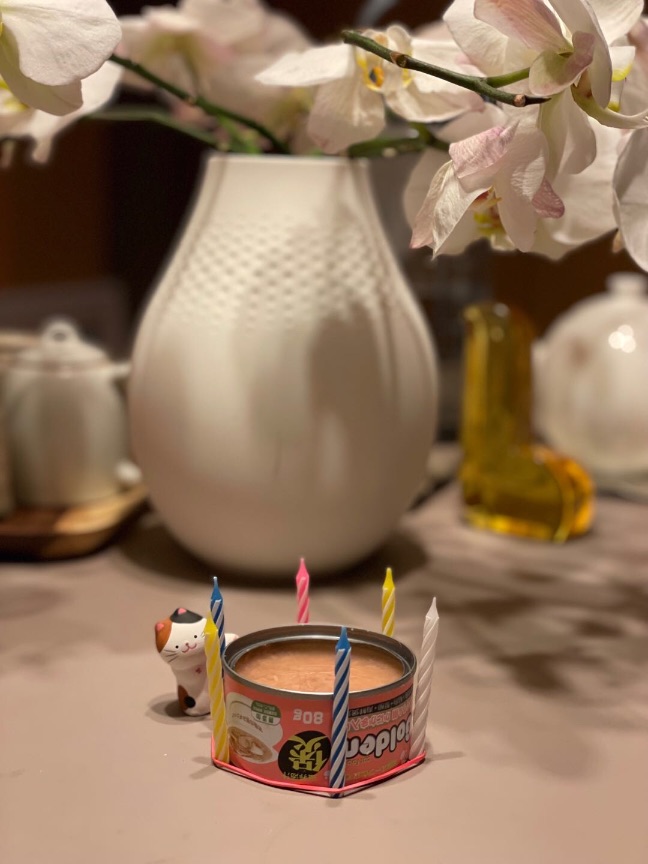 猫图片|宠物猫|猫咪|