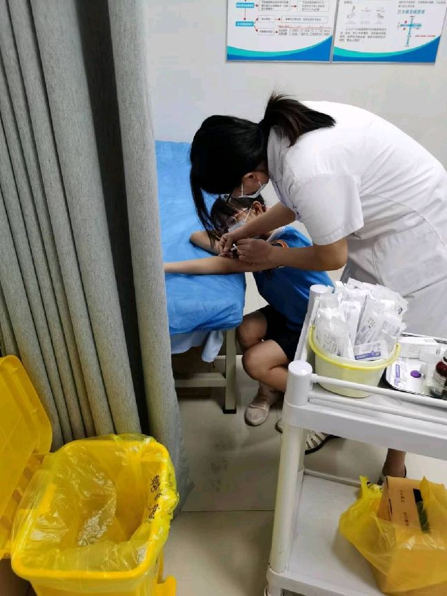 猫图片|宠物猫|猫咪|