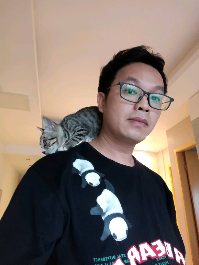 猫图片|宠物猫|猫咪|