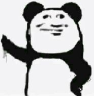 猫图片|宠物猫|猫咪|